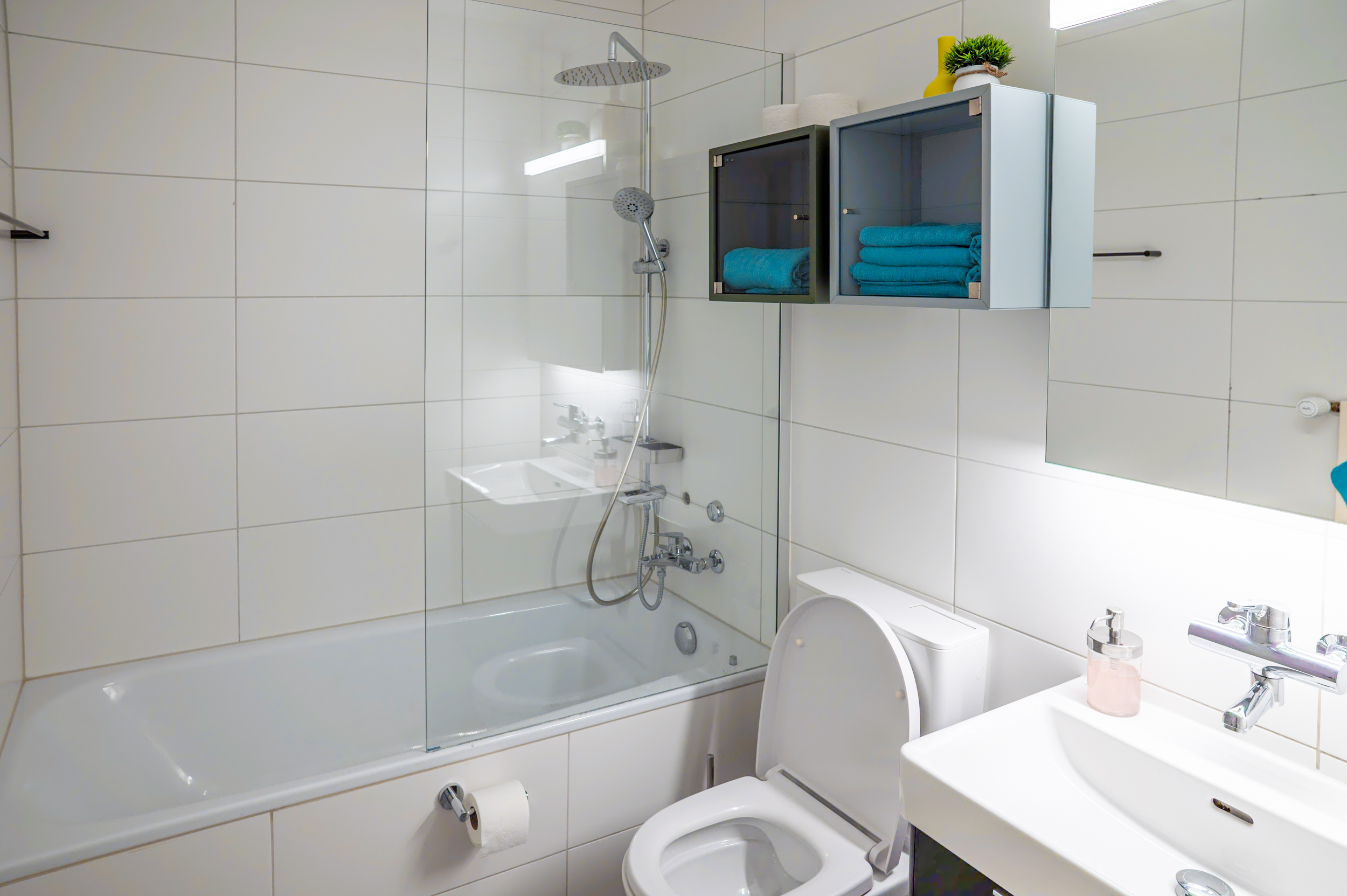 Modernes Badezimmer mit Dusche und Wanne im EXPO Basel Apartment