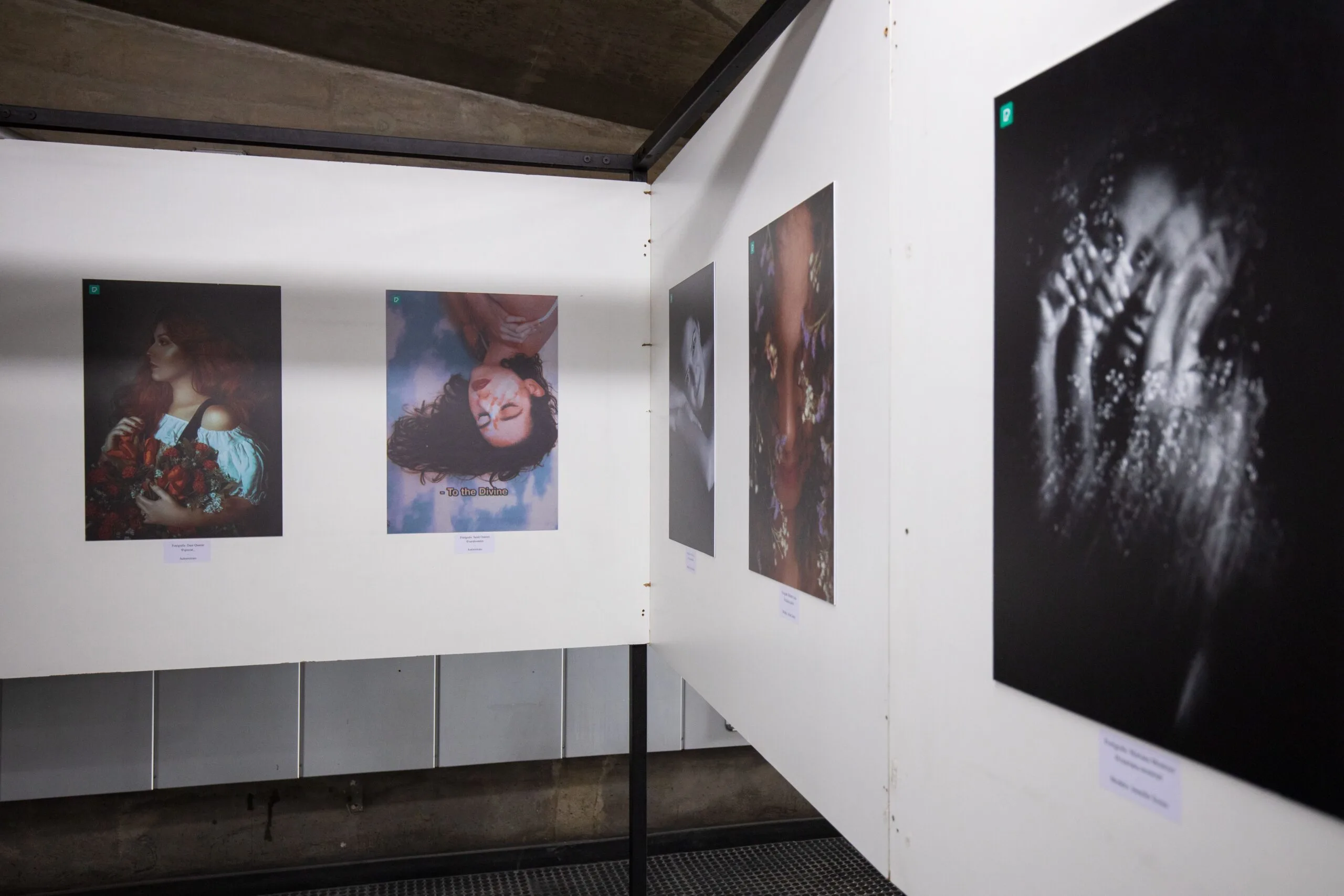 Flur einer Kunstgalerie mit gerahmten Fotografien an den Wänden